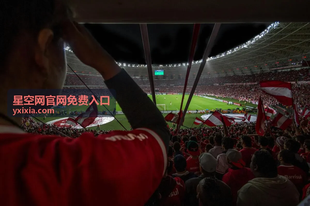 日常使用星空网官网免费入口时的更新查看场景